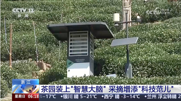 央視、人民網(wǎng)等權(quán)威媒體聚焦西湖龍井：托普云農(nóng)“黑科技”點(diǎn)亮千年茶香智變之路