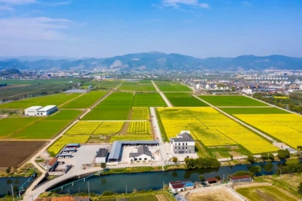 托普云農(nóng)高標(biāo)準(zhǔn)農(nóng)田建設(shè)答卷：用實(shí)踐書寫政策新篇