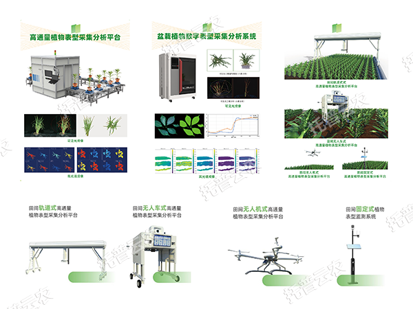 AI+農業新突破！托普高通量植物表型智能分析平臺助力智慧農業創新發展