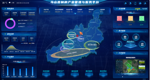 AI+農業 | 當種子植入“數智芯片”，馬山縣打造制種基地新標桿