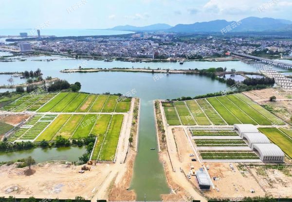 耐鹽堿水稻科研試驗基地建設解決方案